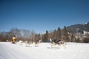 100214_1217_0712_5D