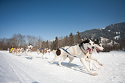 100214_1220_0716_5D