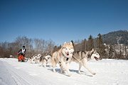 100214_1224_0721_5D