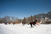 100214_1236_0727_5D