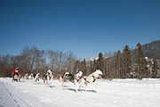 100214_1242_0735_5D