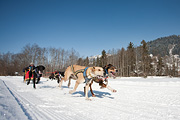 100214_1319_0753_5D