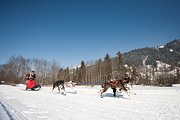 100214_1322_0763_5D