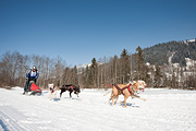 100214_1324_0768_5D