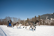 100214_1325_0772_5D