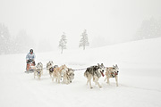p-f.ch_100306_1217_1790_1D
