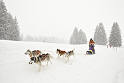 p-f.ch_100306_1254_1919_1D