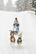 p-f.ch_100306_1309_2044_1D