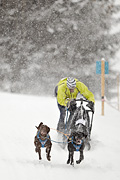 p-f.ch_100306_1333_2229_1D