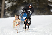 p-f.ch_100307_0945_2411_1D