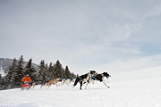 p-f.ch_100307_0950_1184_5D
