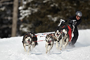 p-f.ch_100307_0954_2457_1D