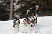 p-f.ch_100307_0954_2461_1D