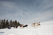 p-f.ch_100307_0958_1189_5D