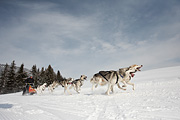p-f.ch_100307_1001_1196_5D