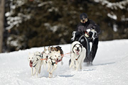 p-f.ch_100307_1001_2491_1D