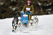 p-f.ch_100307_1002_2505_1D