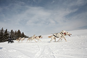 p-f.ch_100307_1003_1203_5D