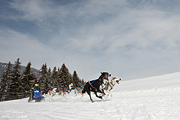 p-f.ch_100307_1004_1207_5D