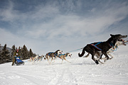 p-f.ch_100307_1004_1208_5D
