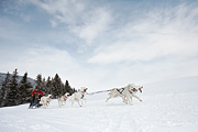 p-f.ch_100307_1007_1212_5D