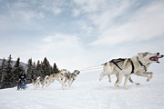 p-f.ch_100307_1009_1216_5D