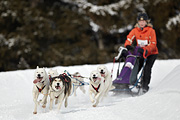 p-f.ch_100307_1009_2535_1D
