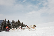 p-f.ch_100307_1011_1221_5D