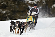 p-f.ch_100307_1011_2547_1D