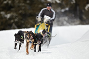 p-f.ch_100307_1011_2549_1D