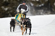 p-f.ch_100307_1011_2552_1D