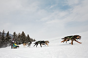 p-f.ch_100307_1013_1226_5D