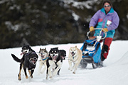 p-f.ch_100307_1014_2561_1D