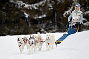 p-f.ch_100307_1018_2574_1D