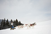 p-f.ch_100307_1020_1237_5D
