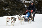 p-f.ch_100307_1022_2598_1D