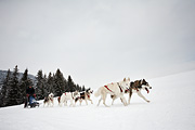 p-f.ch_100307_1024_1244_5D