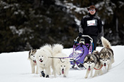 p-f.ch_100307_1029_2629_1D