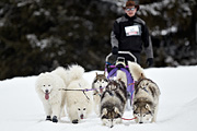 p-f.ch_100307_1029_2631_1D