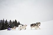 p-f.ch_100307_1032_1258_5D
