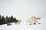 p-f.ch_100307_1032_1260_5D