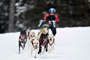 p-f.ch_100307_1036_2649_1D