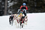 p-f.ch_100307_1036_2650_1D