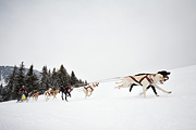 p-f.ch_100307_1038_1265_5D