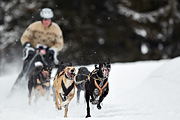 p-f.ch_100307_1038_2661_1D