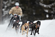 p-f.ch_100307_1038_2662_1D