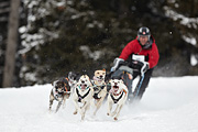 p-f.ch_100307_1040_2667_1D