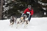 p-f.ch_100307_1040_2668_1D