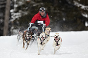p-f.ch_100307_1040_2671_1D