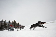 p-f.ch_100307_1042_1279_5D